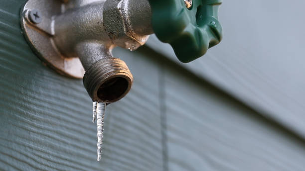 Best Same-Day Plumbing Service  in Concord, MI